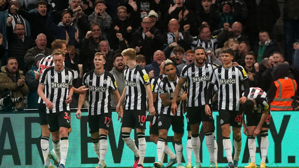 Newcastle United v Fulham - Premier League - St. James' Park