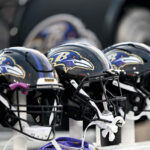 ravens