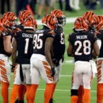 bengals